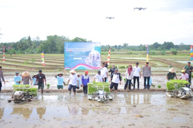 
					Kapolda Lampung Hadiri Gerak Tanam Raya Padi Serentak, Dukung Ketahanan Pangan Nasional