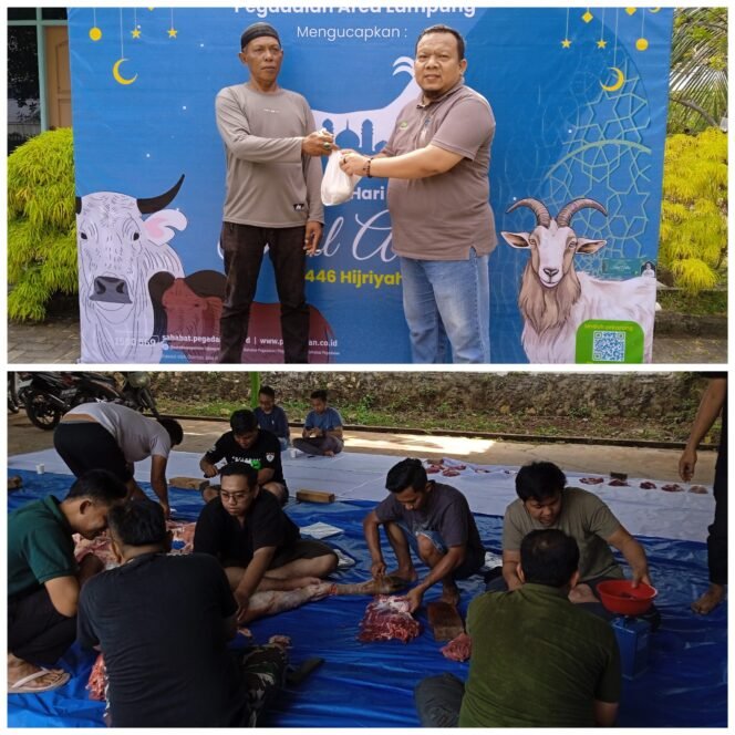 
					Salurkan  Hewan Qurban Idul Adha 1446 H, PT. Pegadaian Lampung Berharap Bisa Memberikan Manfaat dan Kebaikan Untuk Masyarakat