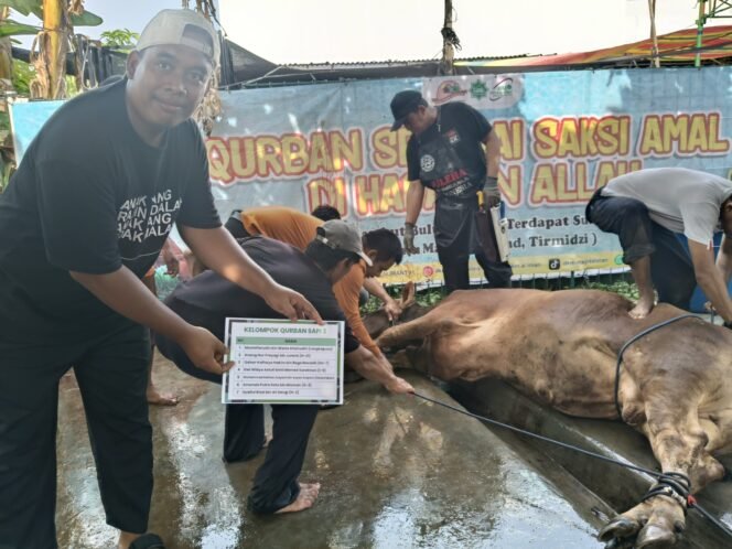 
					Masjid Al Iman Gedong Meneng Bagikan Hewan Qurban 47 Ekor di Idul Adha 1446H&nbsp;
