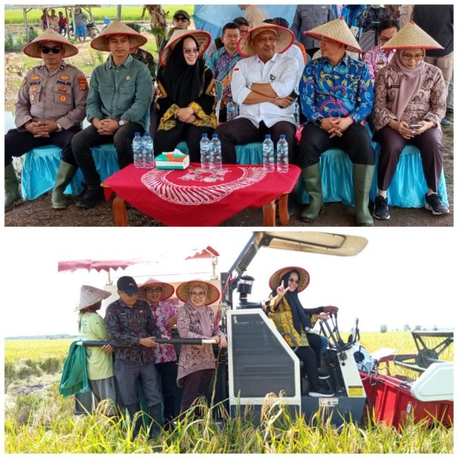 
					Semangat Baru Bergerak di Sektor Pertanian Menuju Swasembada Pangan Kabupaten Mesuji