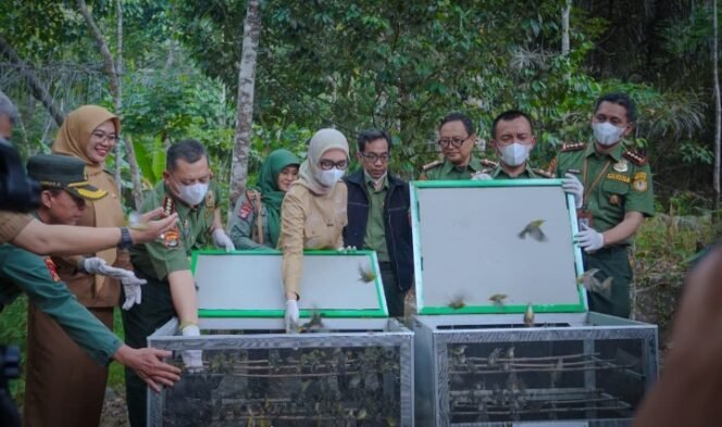
					Wagub Jihan Dorong Pengelolaan Hutan Lampung yang Lestari dan Berkelanjutan